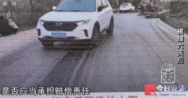 云开体育曾庆前却顷刻间死一火-开云官网kaiyun皇马赞助商